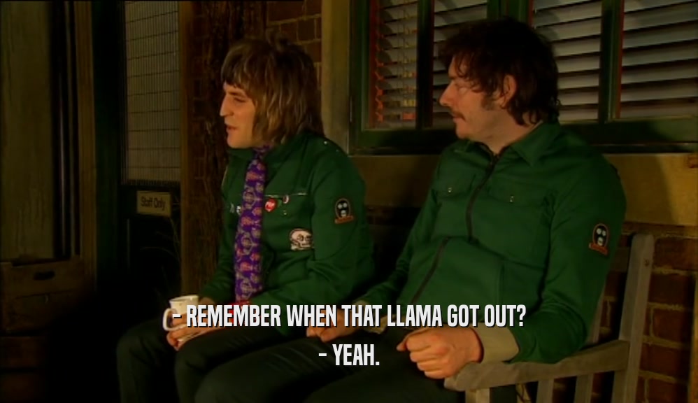 - REMEMBER WHEN THAT LLAMA GOT OUT? - YEAH. 