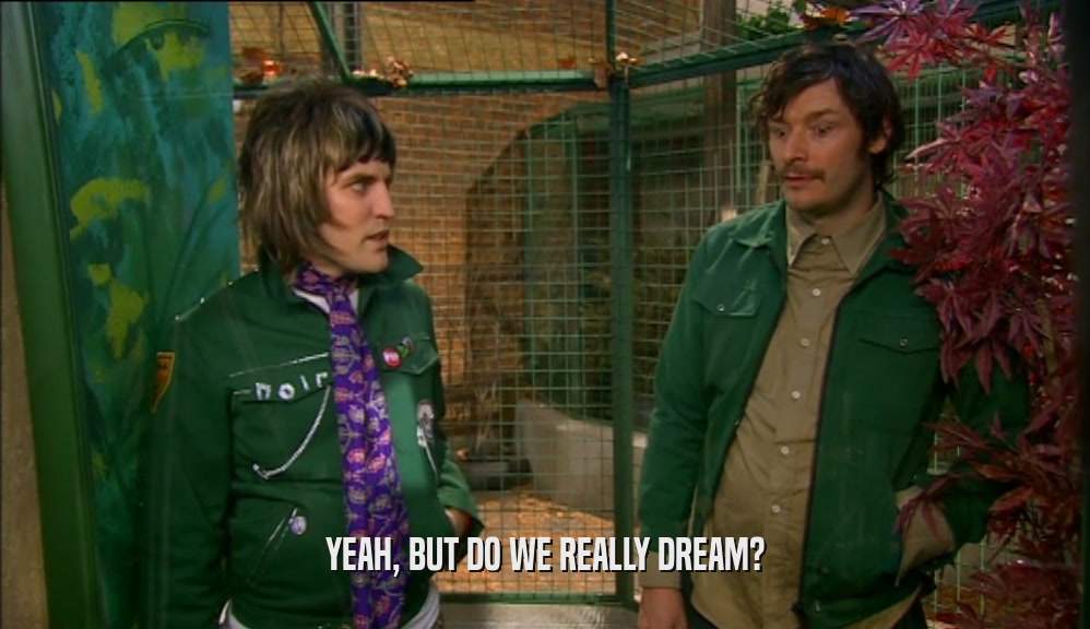 YEAH, BUT DO WE REALLY DREAM?  