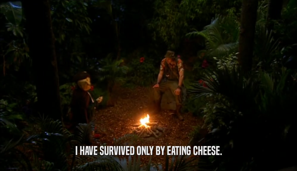 I HAVE SURVIVED ONLY BY EATING CHEESE.  