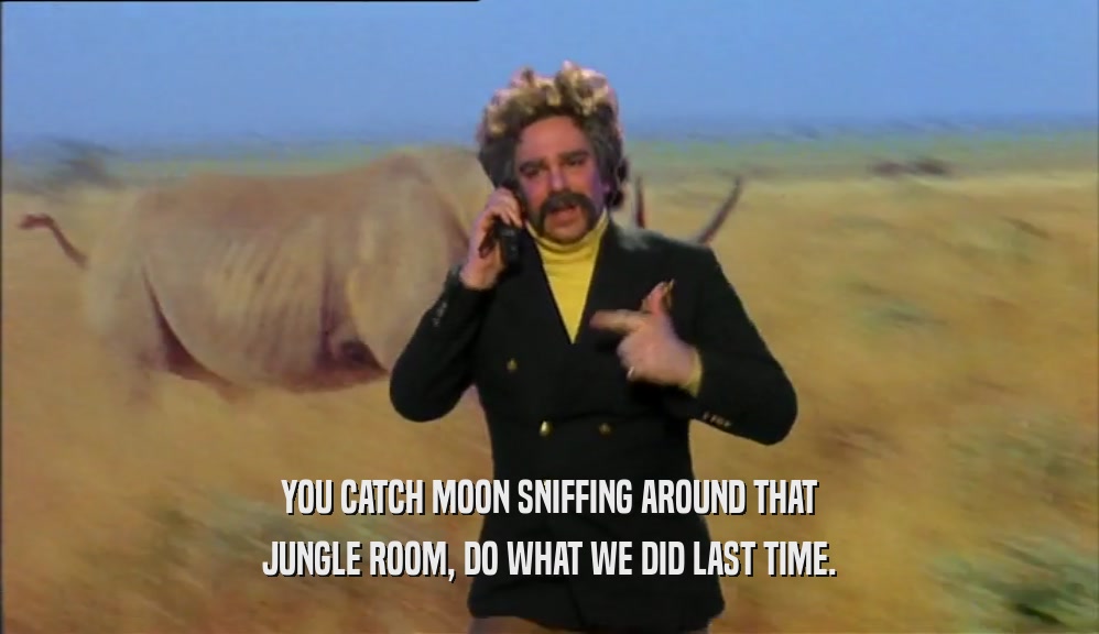 YOU CATCH MOON SNIFFING AROUND THAT
 JUNGLE ROOM, DO WHAT WE DID LAST TIME.
 