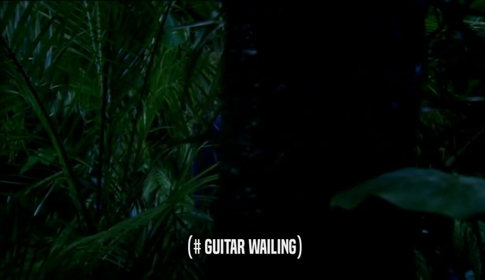 (# GUITAR WAILING)  