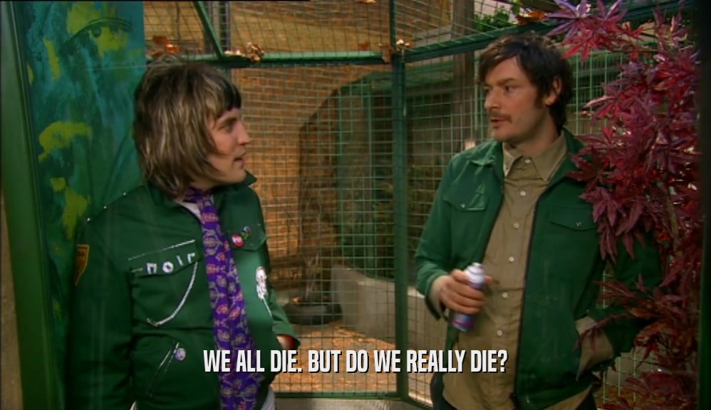 WE ALL DIE. BUT DO WE REALLY DIE?  
