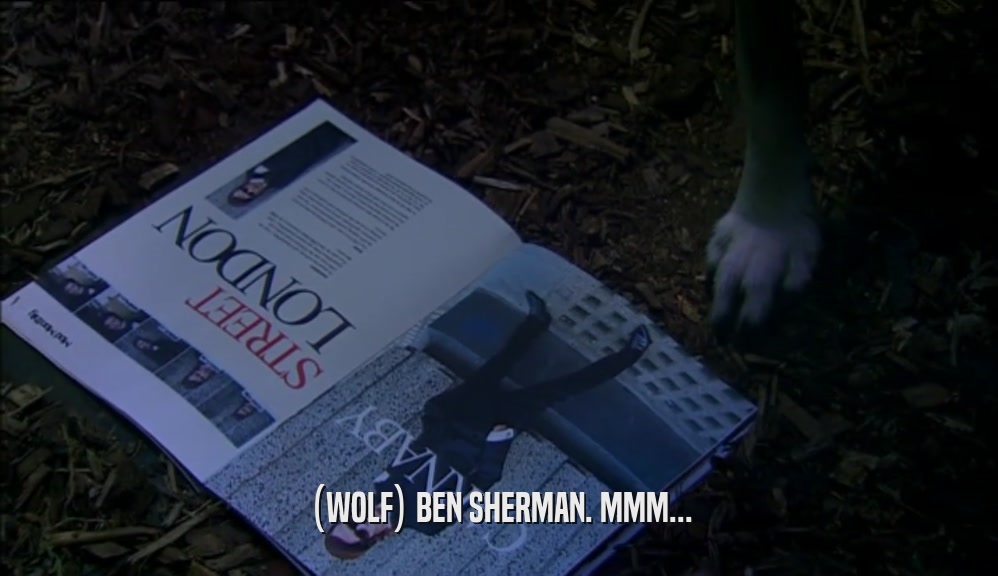 (WOLF) BEN SHERMAN. MMM...  