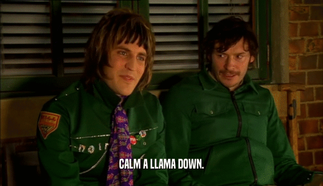 CALM A LLAMA DOWN.  