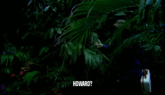 HOWARD?  