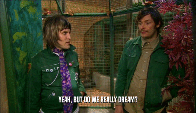 YEAH, BUT DO WE REALLY DREAM?  