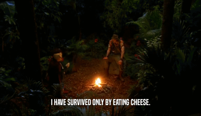 I HAVE SURVIVED ONLY BY EATING CHEESE.  