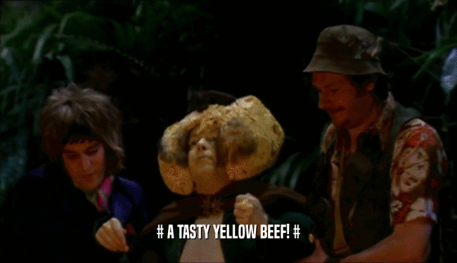 # A TASTY YELLOW BEEF! #  