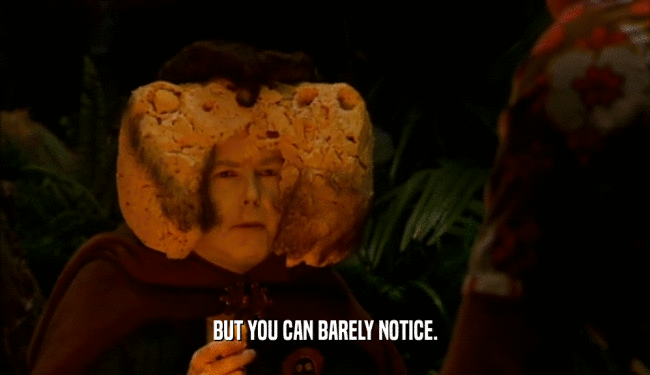 BUT YOU CAN BARELY NOTICE.  