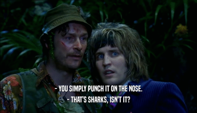 - YOU SIMPLY PUNCH IT ON THE NOSE. - THAT'S SHARKS, ISN'T IT? 