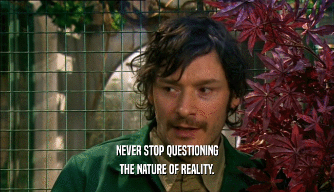 NEVER STOP QUESTIONING THE NATURE OF REALITY. 