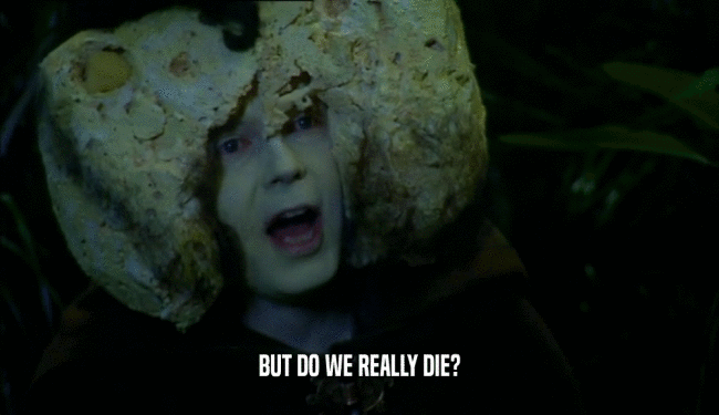 BUT DO WE REALLY DIE?  