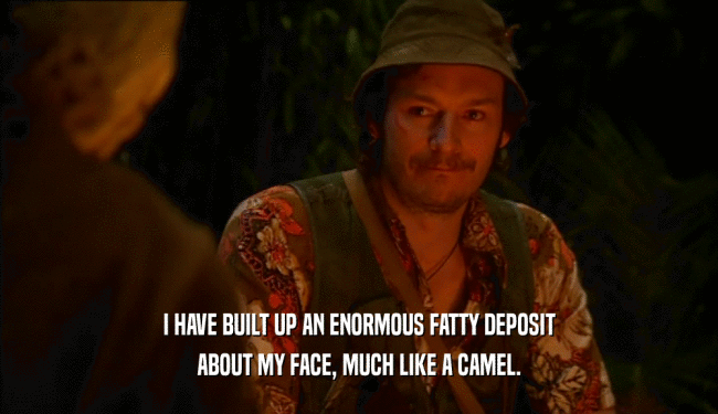 I HAVE BUILT UP AN ENORMOUS FATTY DEPOSIT ABOUT MY FACE, MUCH LIKE A CAMEL. 