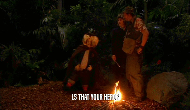 LS THAT YOUR HERO?  
