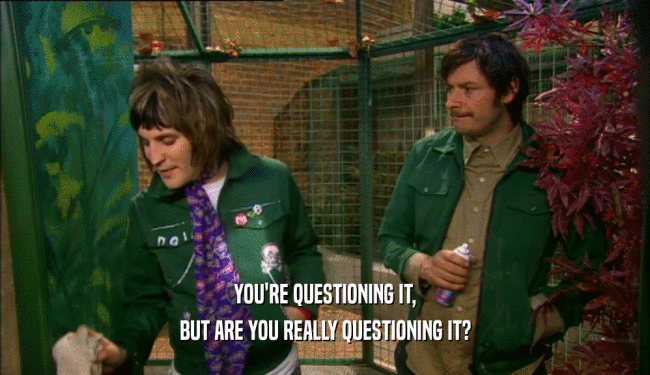 YOU'RE QUESTIONING IT, BUT ARE YOU REALLY QUESTIONING IT? 