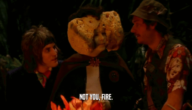 NOT YOU, FIRE.
  