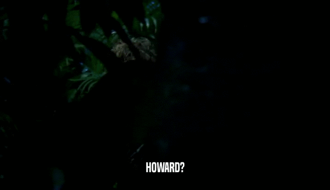 HOWARD?  
