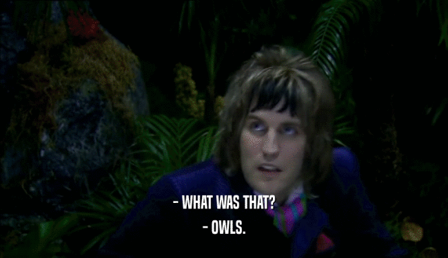 - WHAT WAS THAT?
 - OWLS.
 