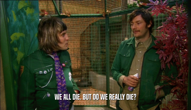 WE ALL DIE. BUT DO WE REALLY DIE?  