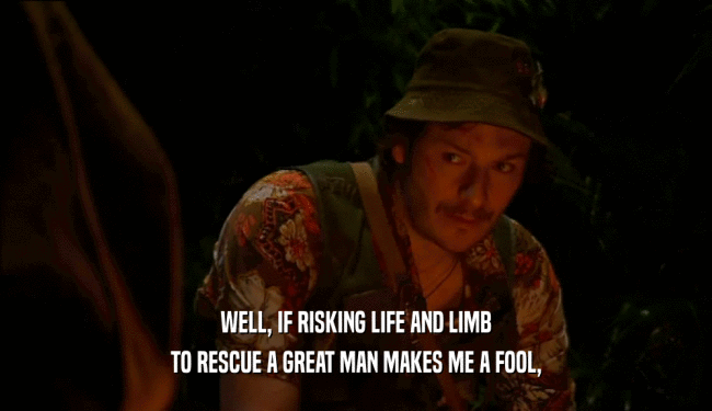 WELL, IF RISKING LIFE AND LIMB TO RESCUE A GREAT MAN MAKES ME A FOOL, 