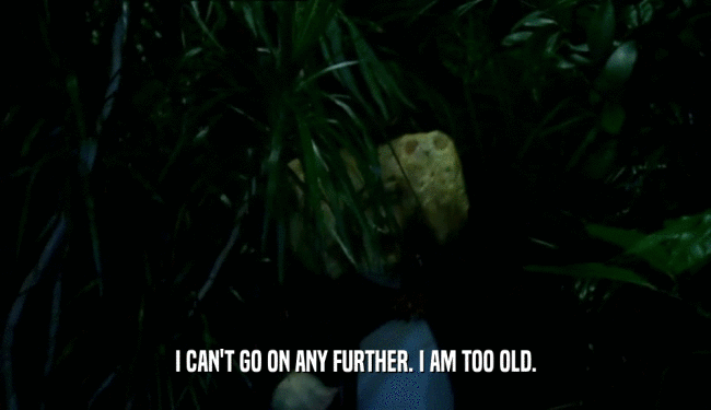 I CAN'T GO ON ANY FURTHER. I AM TOO OLD.  