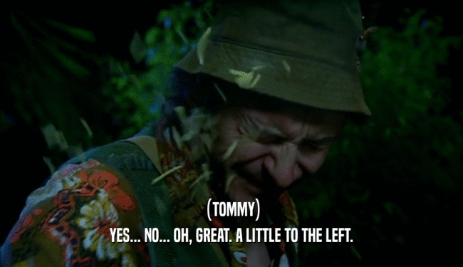 (TOMMY) YES... NO... OH, GREAT. A LITTLE TO THE LEFT. 