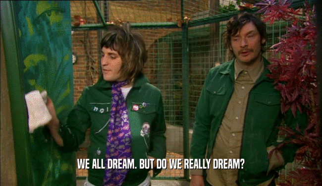 WE ALL DREAM. BUT DO WE REALLY DREAM?  