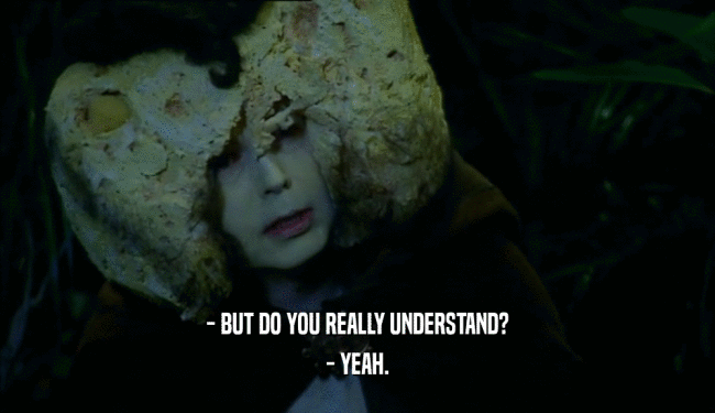 - BUT DO YOU REALLY UNDERSTAND? - YEAH. 