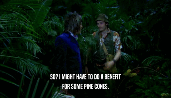 SO? I MIGHT HAVE TO DO A BENEFIT
 FOR SOME PINE CONES.
 