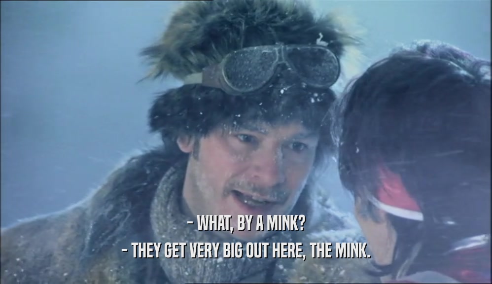 - WHAT, BY A MINK? - THEY GET VERY BIG OUT HERE, THE MINK. 