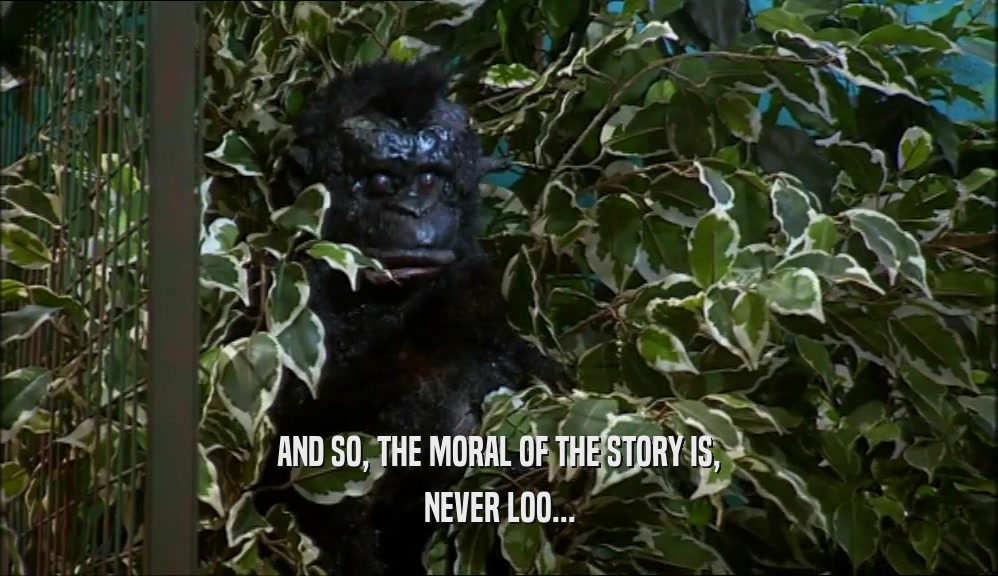AND SO, THE MORAL OF THE STORY IS, NEVER LOO... 