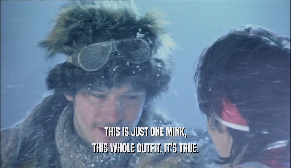 THIS IS JUST ONE MINK, THIS WHOLE OUTFIT. IT'S TRUE. 