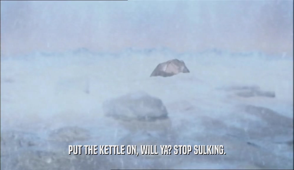 PUT THE KETTLE ON, WILL YA? STOP SULKING.  