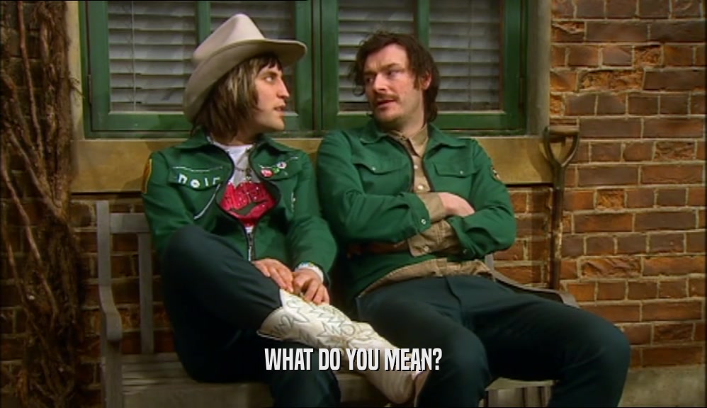 WHAT DO YOU MEAN?  