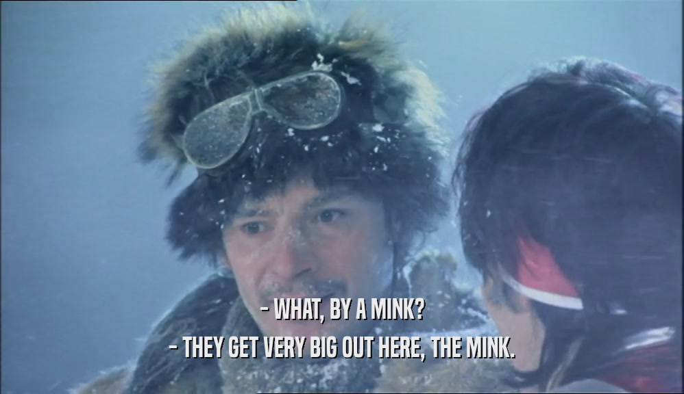 - WHAT, BY A MINK? - THEY GET VERY BIG OUT HERE, THE MINK. 