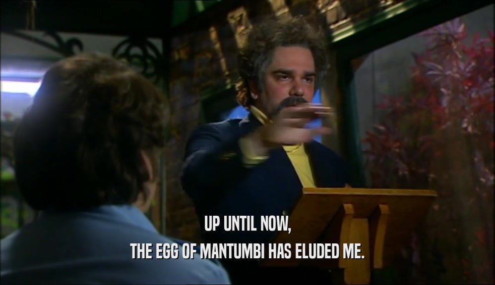 UP UNTIL NOW, THE EGG OF MANTUMBI HAS ELUDED ME. 