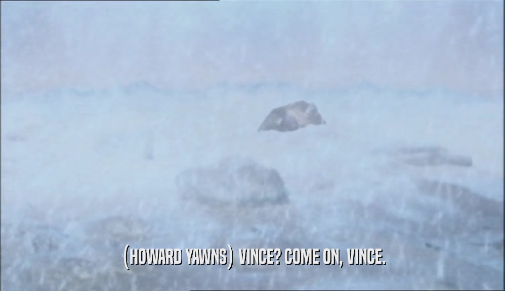 (HOWARD YAWNS) VINCE? COME ON, VINCE.  
