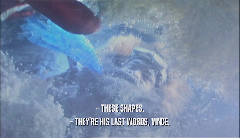 - THESE SHAPES. - THEY'RE HIS LAST WORDS, VINCE. 