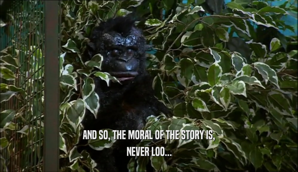 AND SO, THE MORAL OF THE STORY IS, NEVER LOO... 
