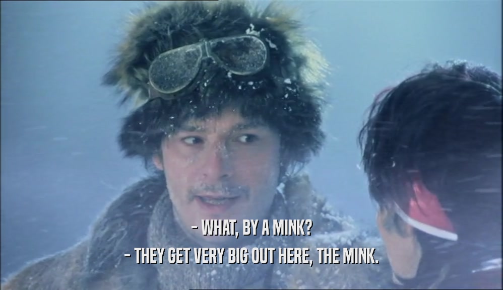 - WHAT, BY A MINK? - THEY GET VERY BIG OUT HERE, THE MINK. 
