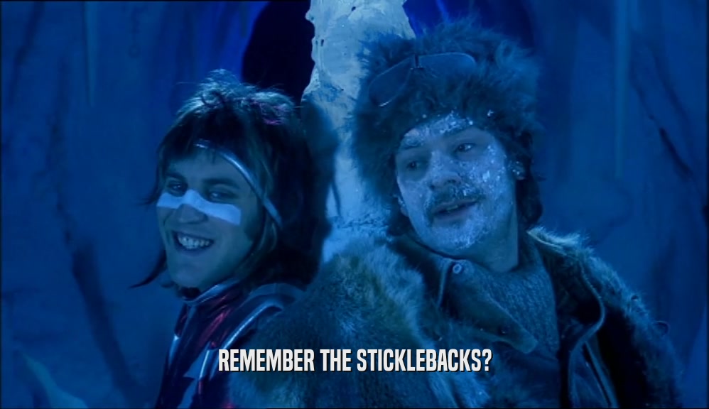 REMEMBER THE STICKLEBACKS?  