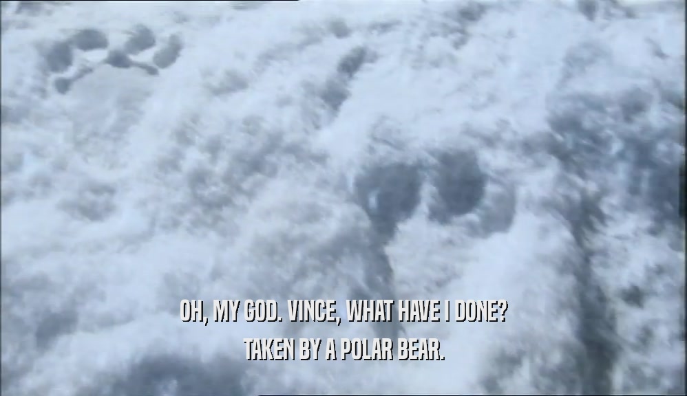 OH, MY GOD. VINCE, WHAT HAVE I DONE? TAKEN BY A POLAR BEAR. 