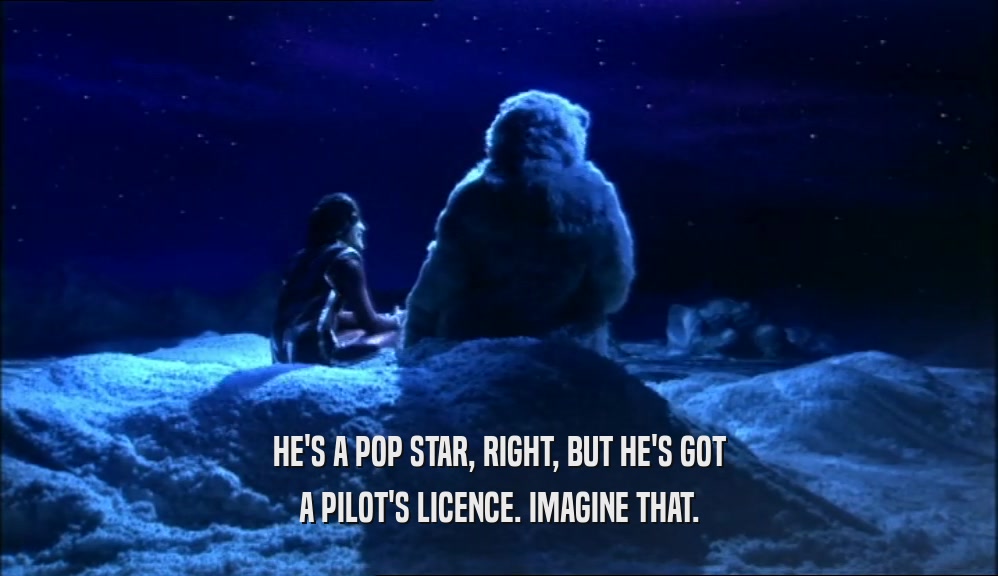 HE'S A POP STAR, RIGHT, BUT HE'S GOT A PILOT'S LICENCE. IMAGINE THAT. 