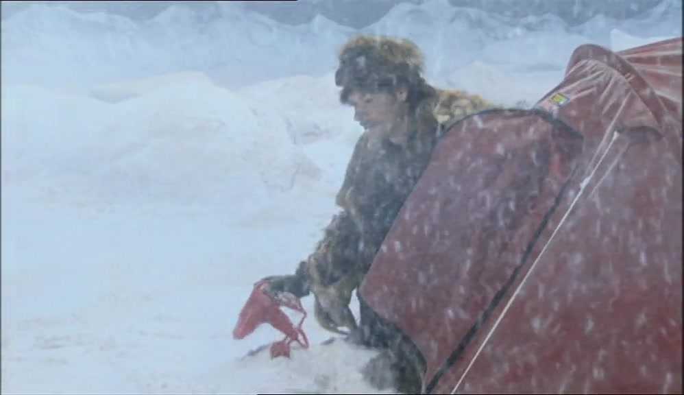 OH, MY GOD. VINCE, WHAT HAVE I DONE? TAKEN BY A POLAR BEAR. 
