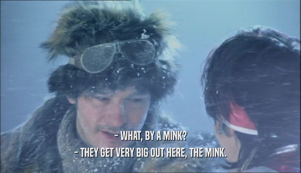 - WHAT, BY A MINK? - THEY GET VERY BIG OUT HERE, THE MINK. 