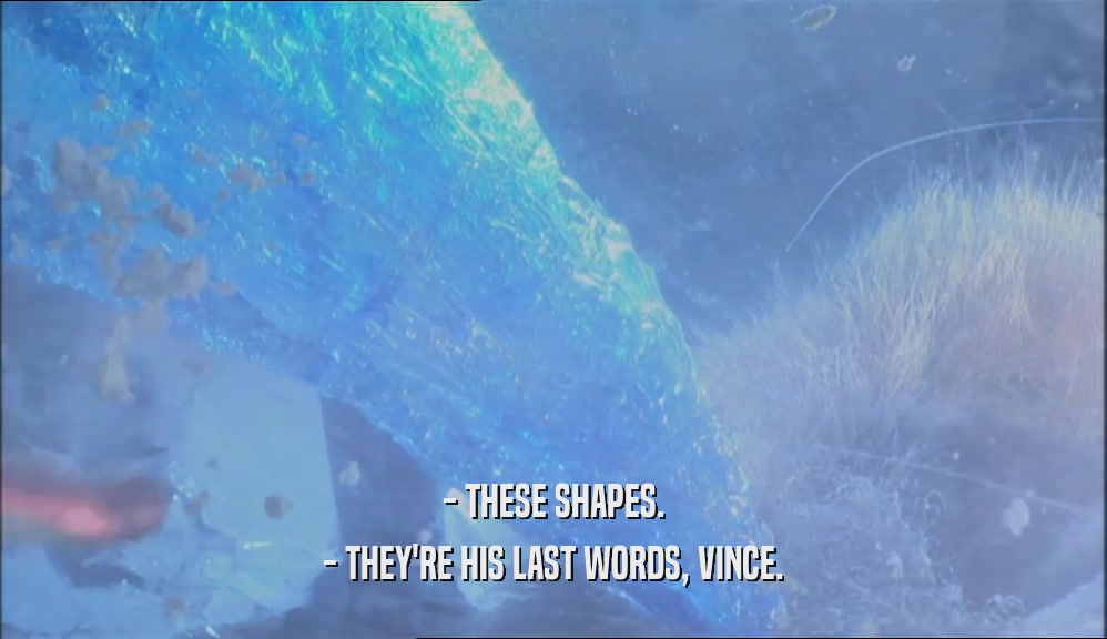- THESE SHAPES. - THEY'RE HIS LAST WORDS, VINCE. 