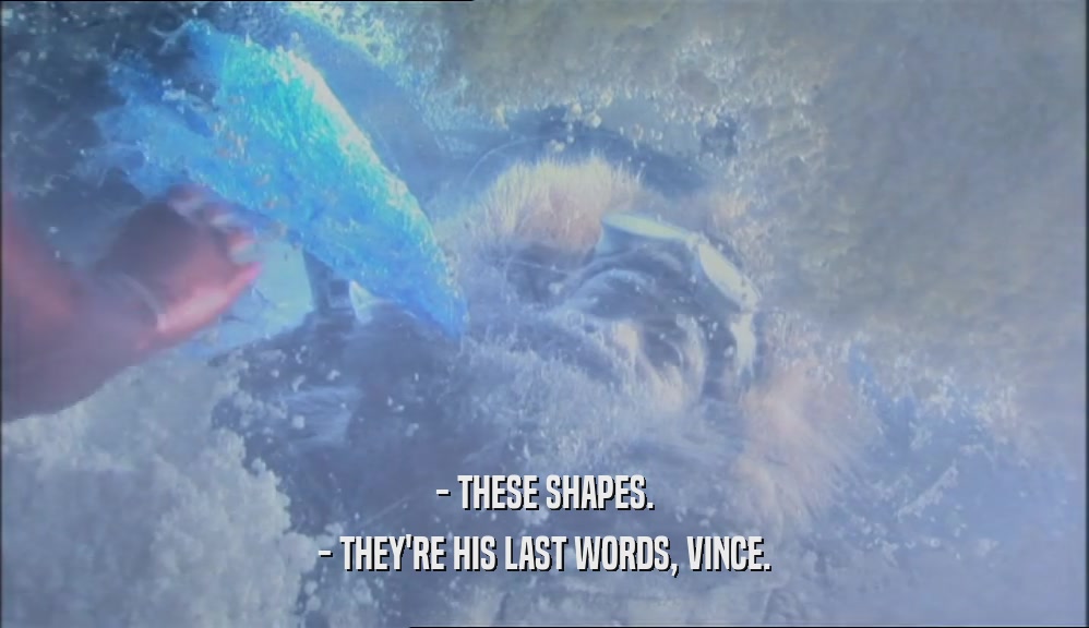 - THESE SHAPES. - THEY'RE HIS LAST WORDS, VINCE. 