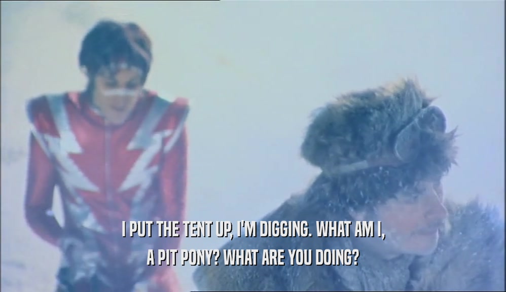 I PUT THE TENT UP, I'M DIGGING. WHAT AM I, A PIT PONY? WHAT ARE YOU DOING? 