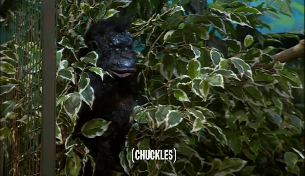 (CHUCKLES)  