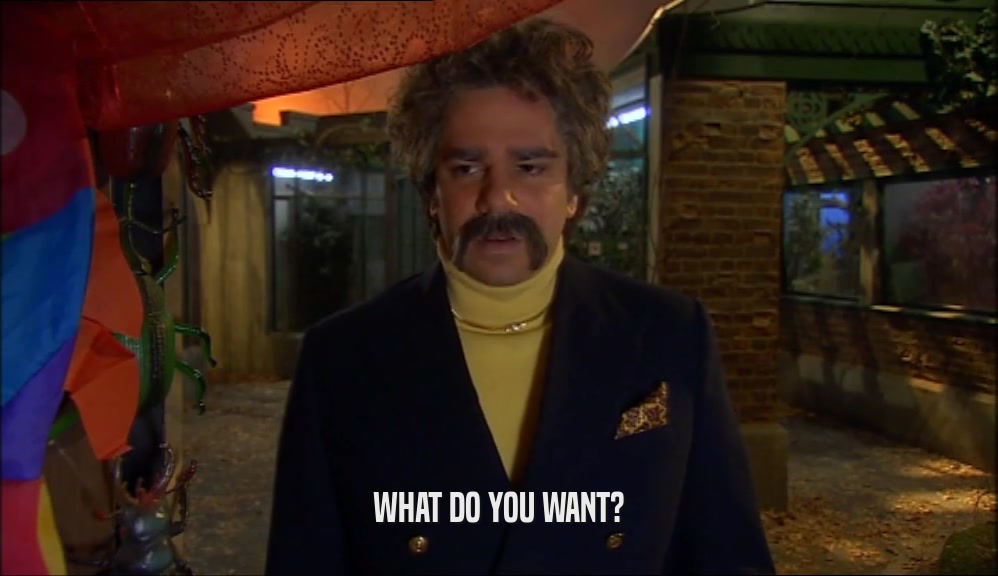 WHAT DO YOU WANT?  
